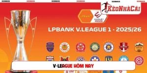 V-League hôm nay